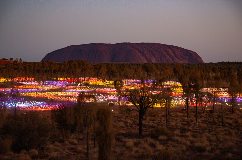 Uluru – Kata Tjuta Nationalpark & Field of Light