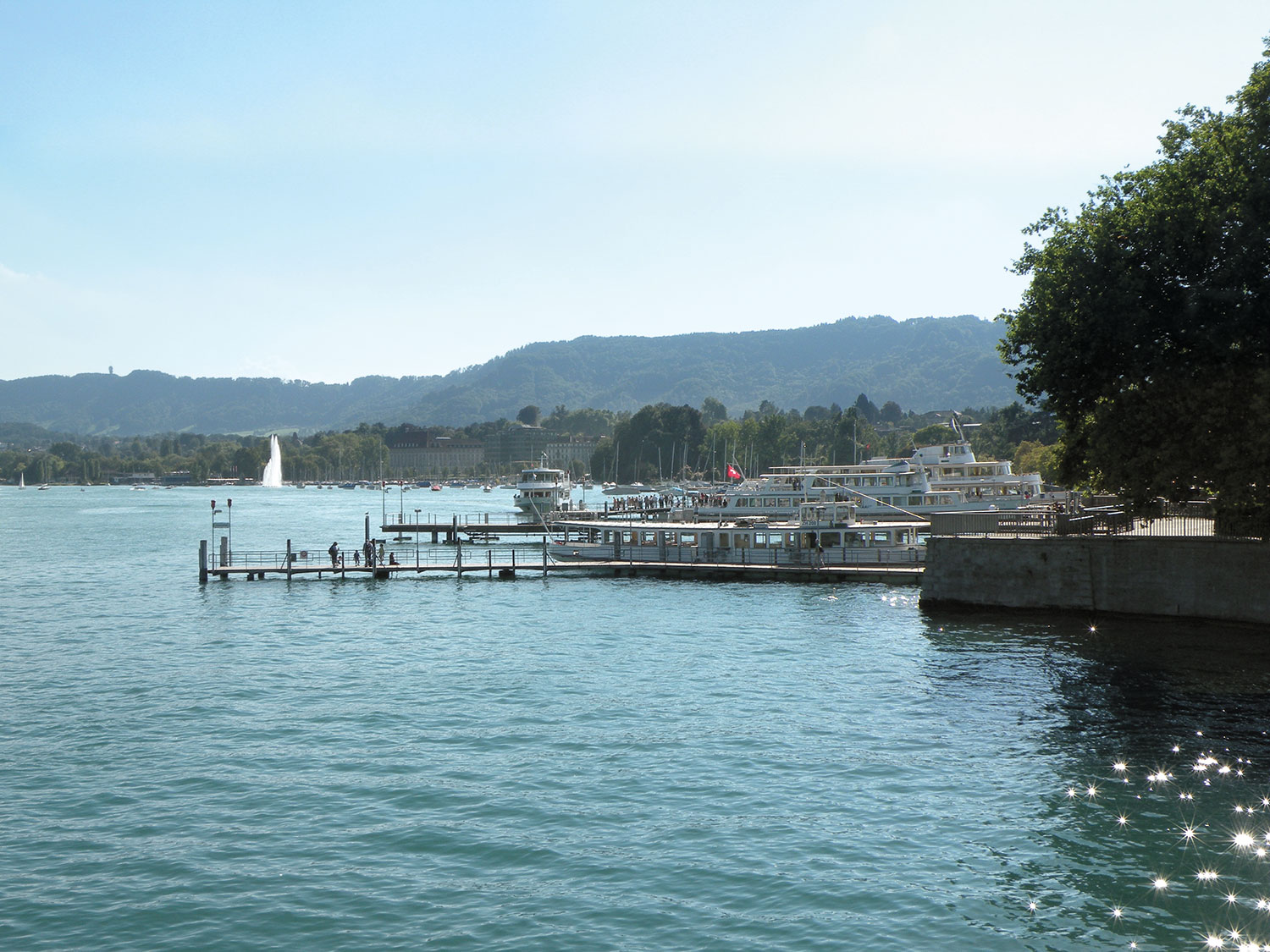 Wasserkraft und die Regulierung des Zürichsees